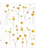 Delicate Flowers Stickers Set - MyPaperPandaShop